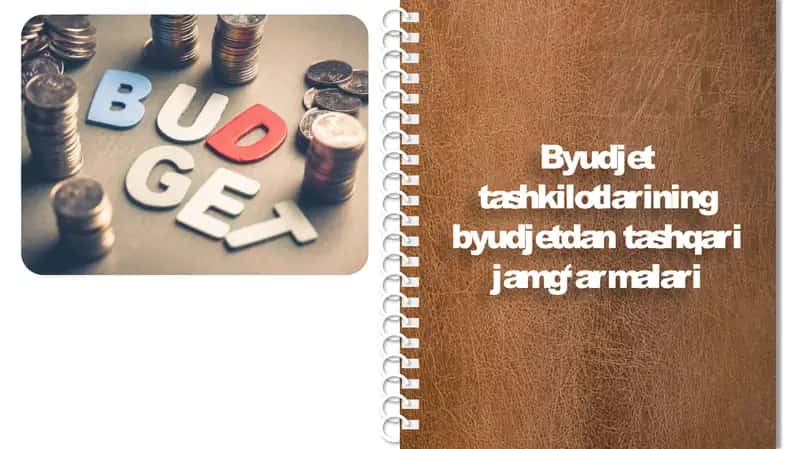 Byudjet tashkilotlarining byudjetdan tashqari jamg‘armalari 1
