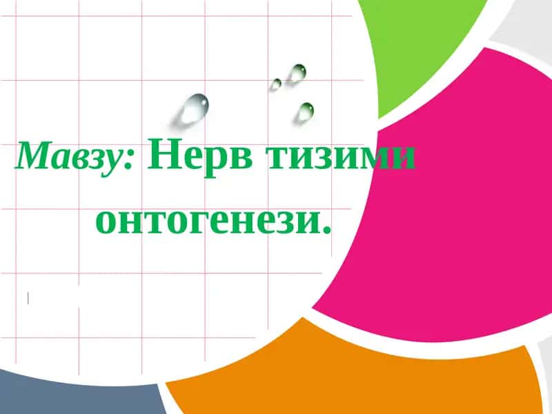 Нервтизими онтогенези 1