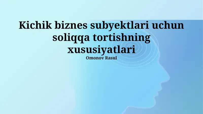 Kichik biznes subyektlari uchun soliqqa tortishning xususiyatlari 1