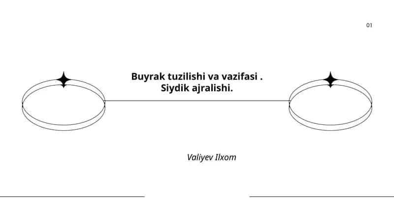 Buyrak tuzilishi va vazifasi 1