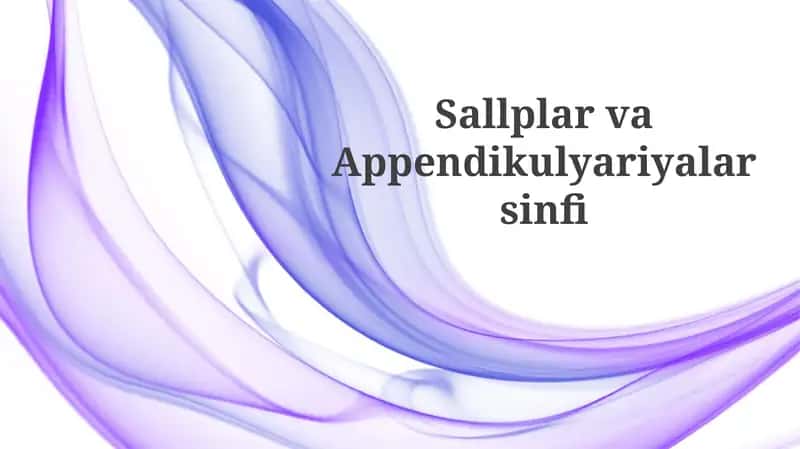 Sallplar va Appendikulyariyalar sinfi 1