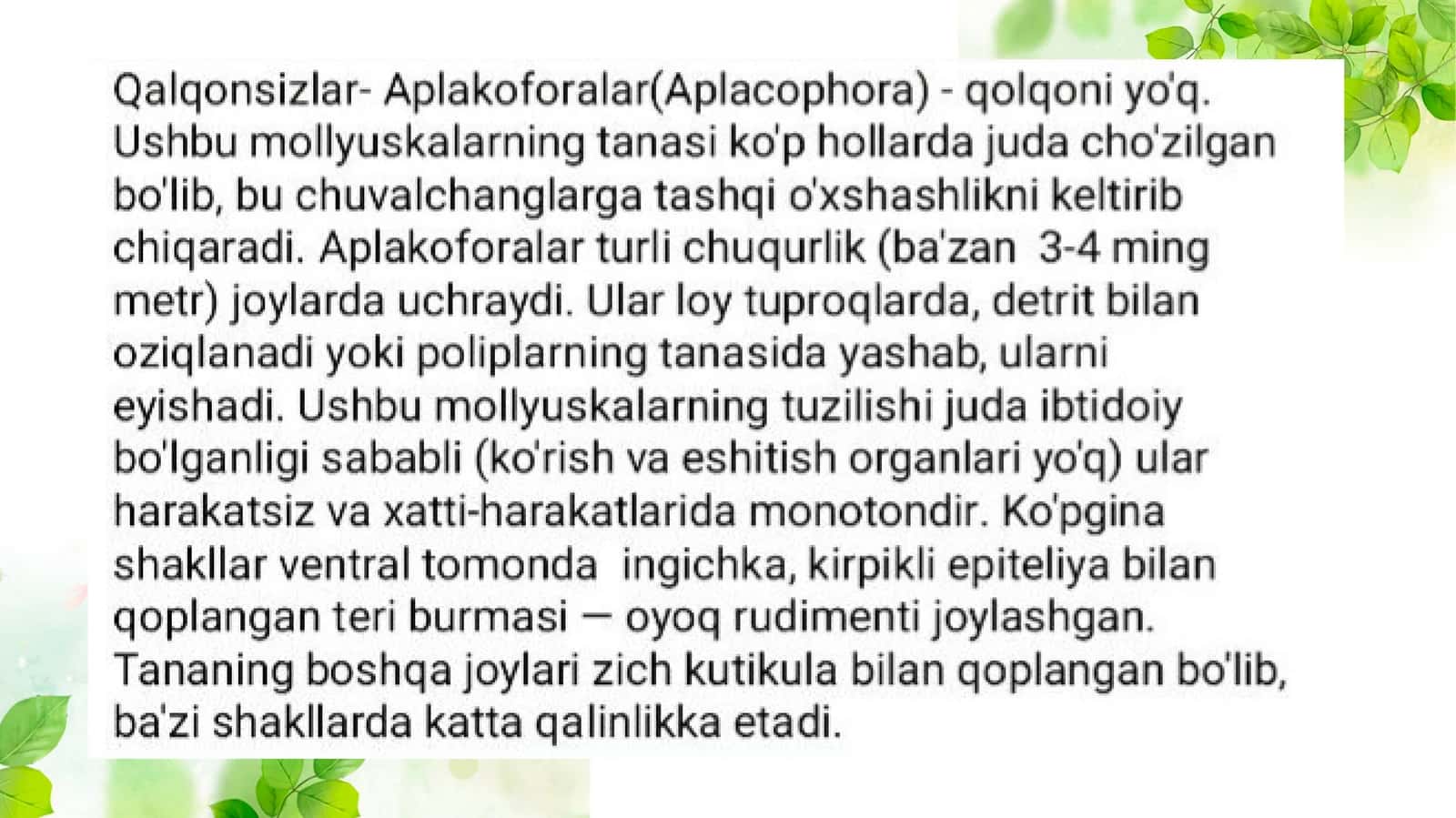 Qalqonsizlar 1