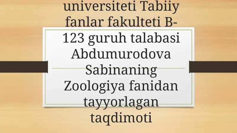 Nemertinlar (Nemertini) tuzilishi va hazm qilishi 1