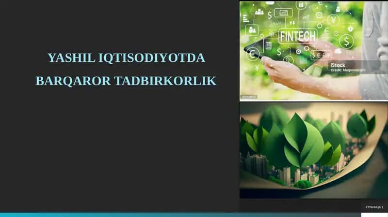 YASHIL IQTISODIYOTDA BARQAROR TADBIRKORLIK 1