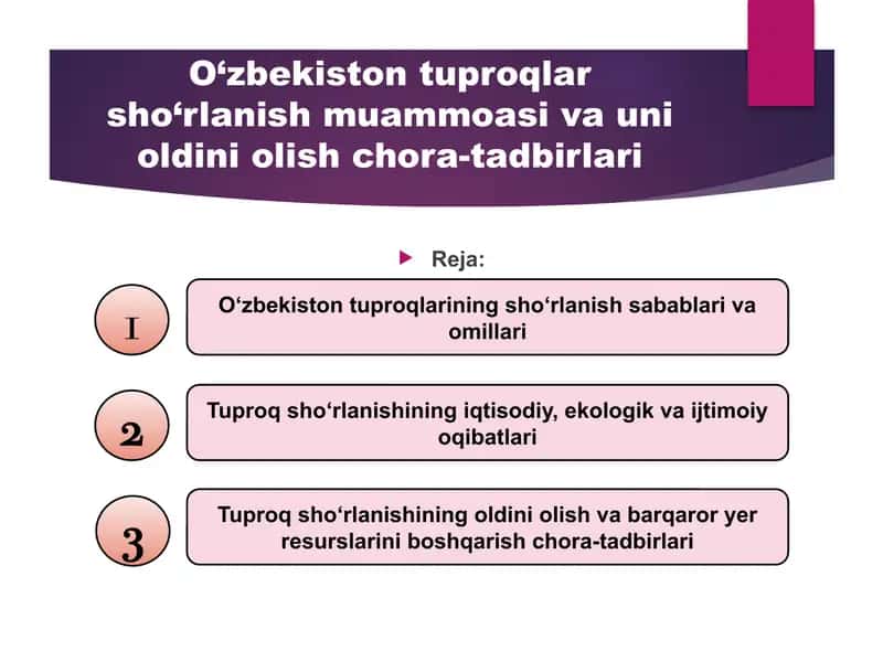 O‘zbekiston tuproqlar sho‘rlanish muammoasi va uni oldini olish chora-tadbirlari 1