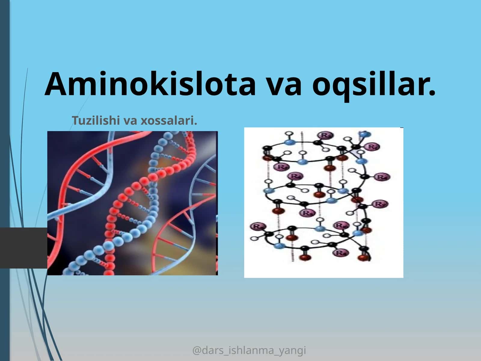 Aminokislota va oqsillar 1