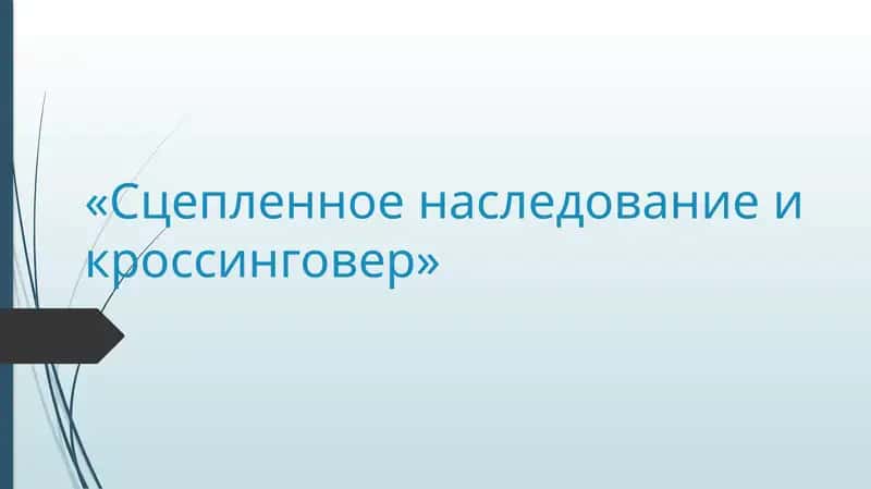 Сцепленное наследование 1