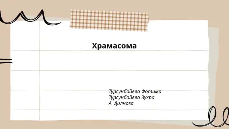 Храмасома 1