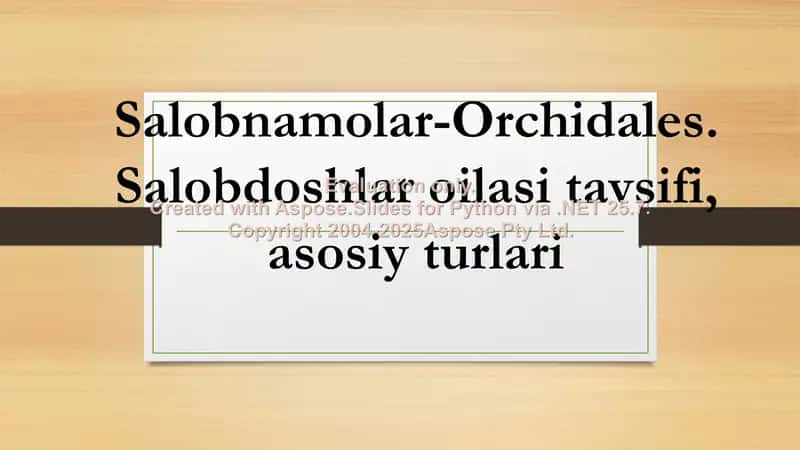 Salobnamolar-Orchidales 1