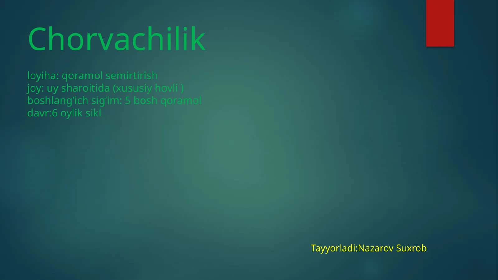 Chorvachilik loyiha 1