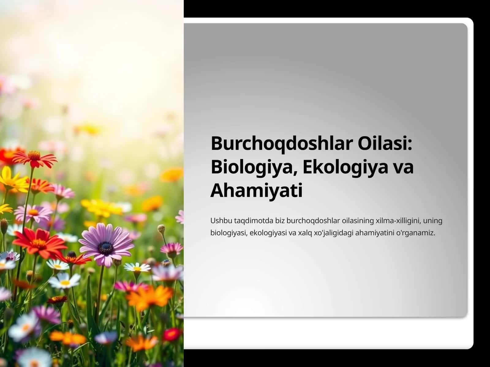 Burchoqdoshlar Oilasi: Biologiya, Ekologiya va Ahamiyati 1