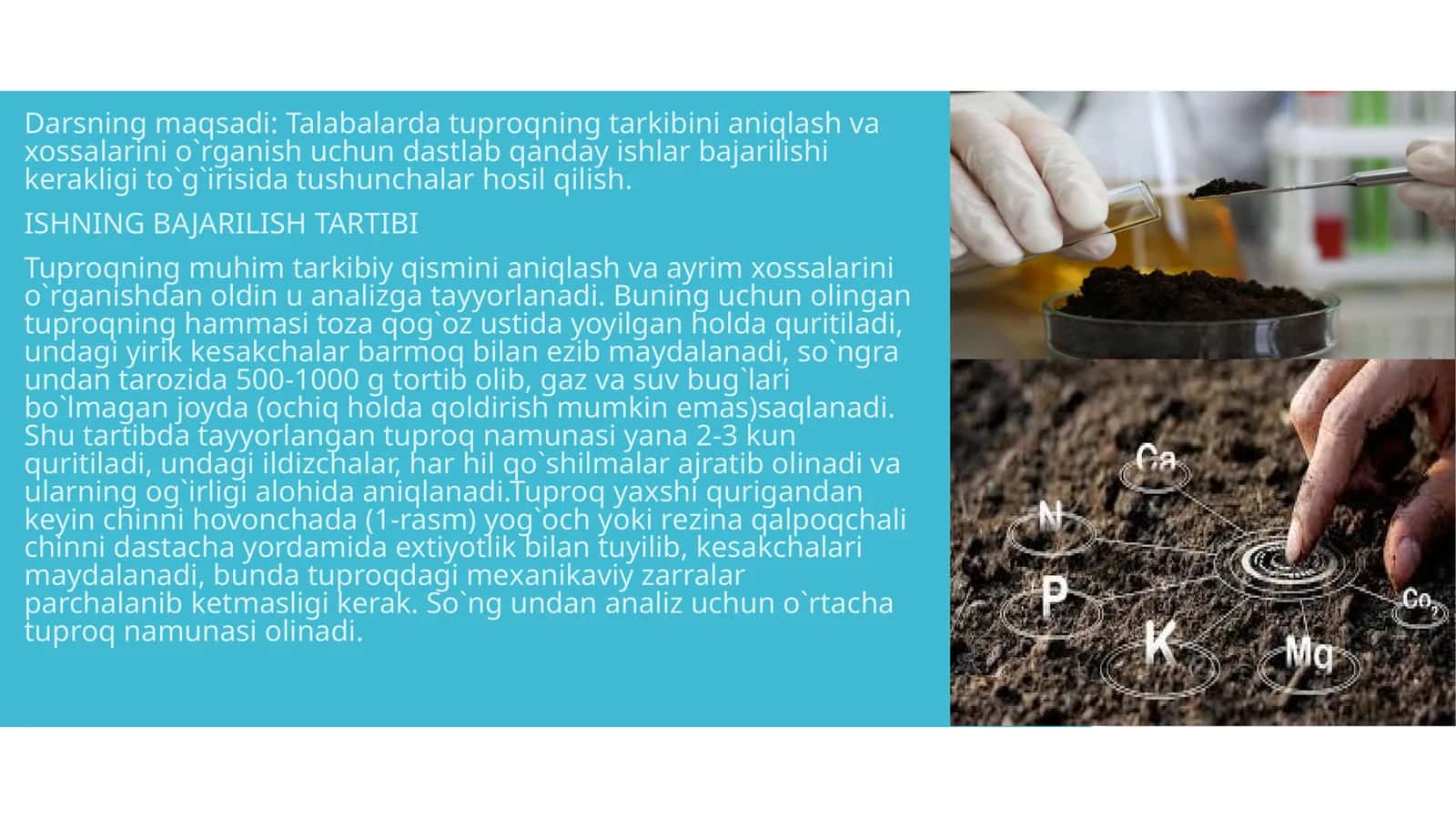 O’simlik, tuproq namunasini olish va uni tahlilga tayyorlash 1