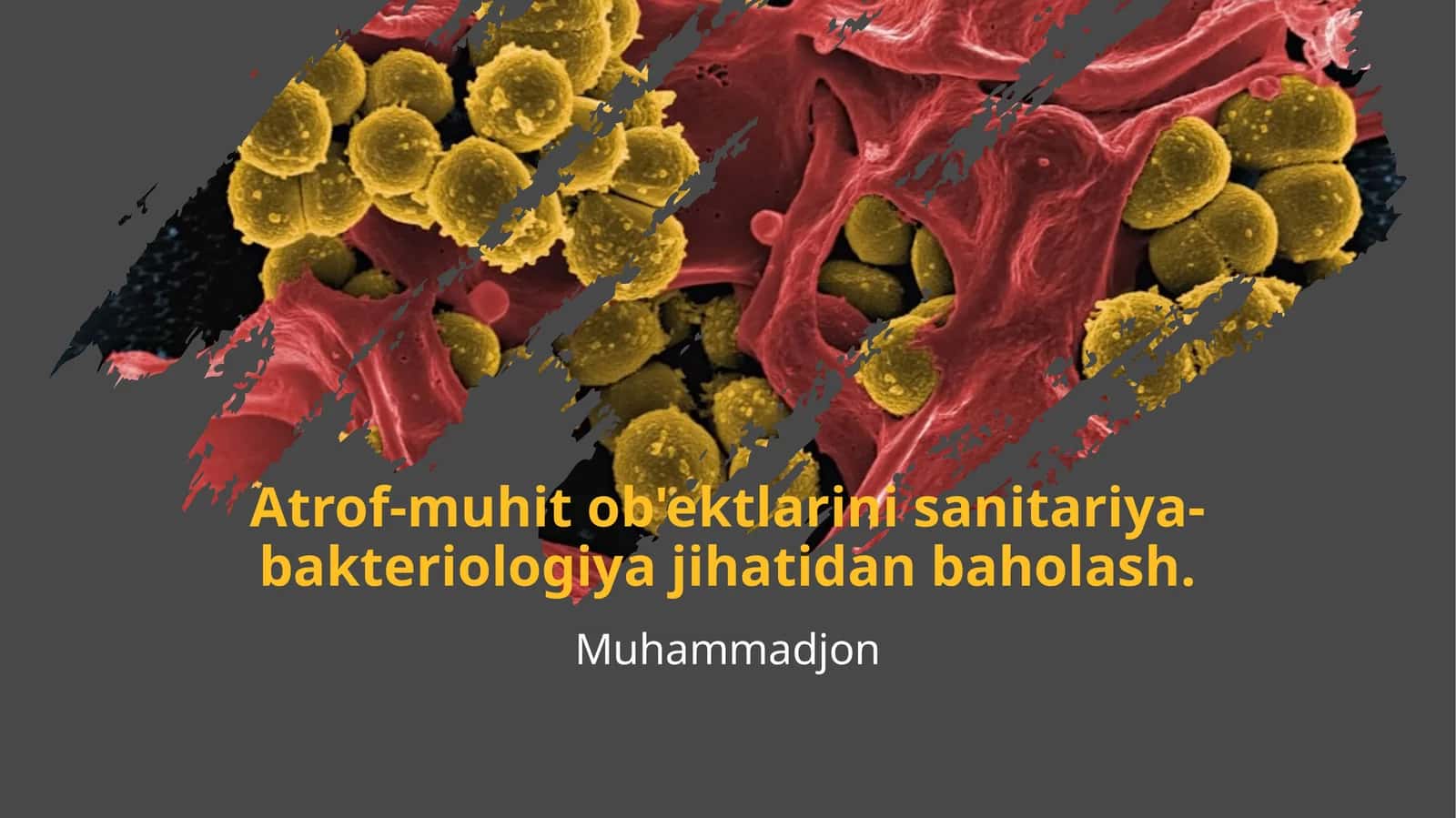 Atrof-muhit ob'ektlarini sanitariya-bakteriologiya jihatidan baholash 1