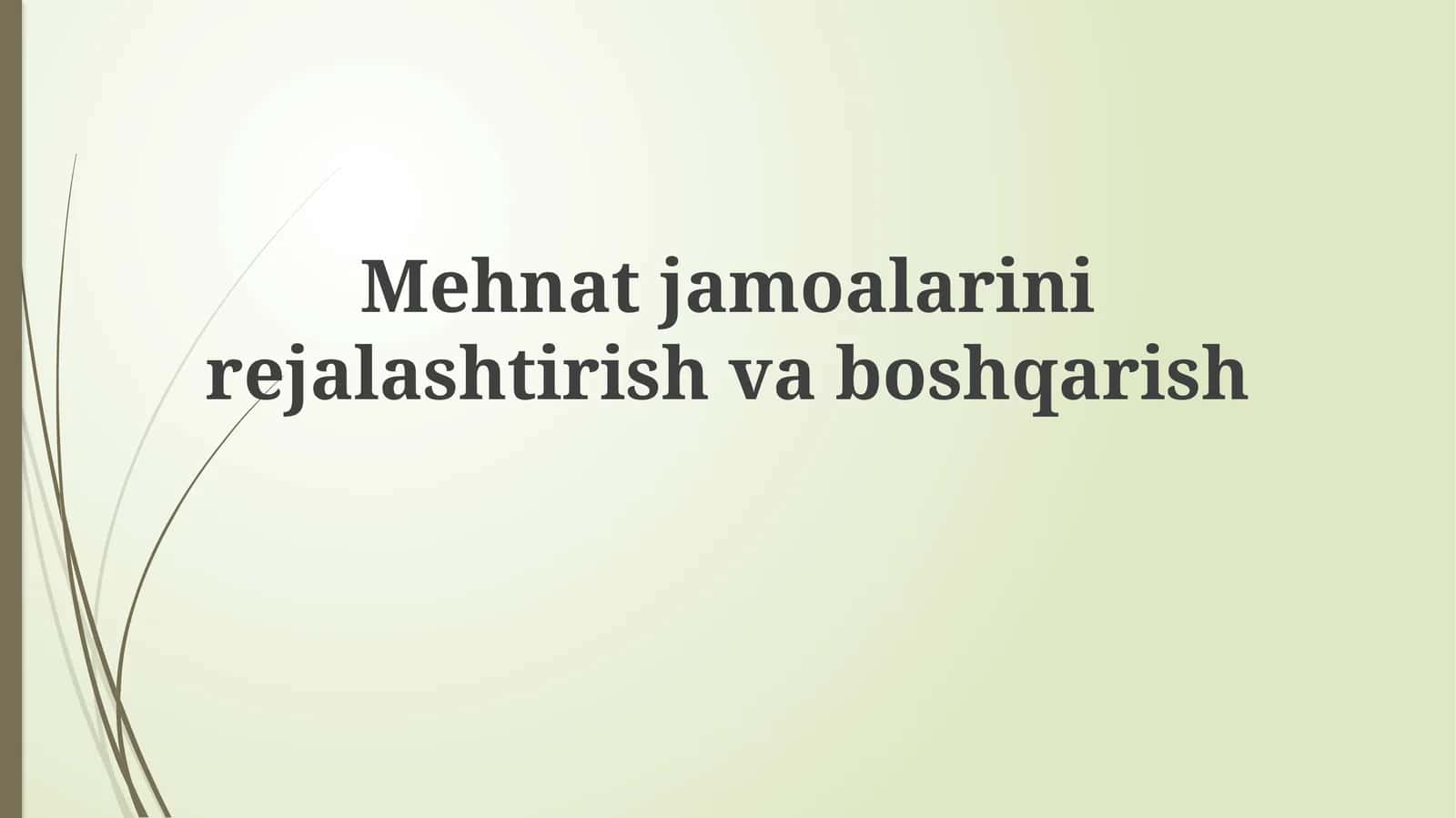 Mehnatjamoalarinirejalashtirishvaboshqarish 1