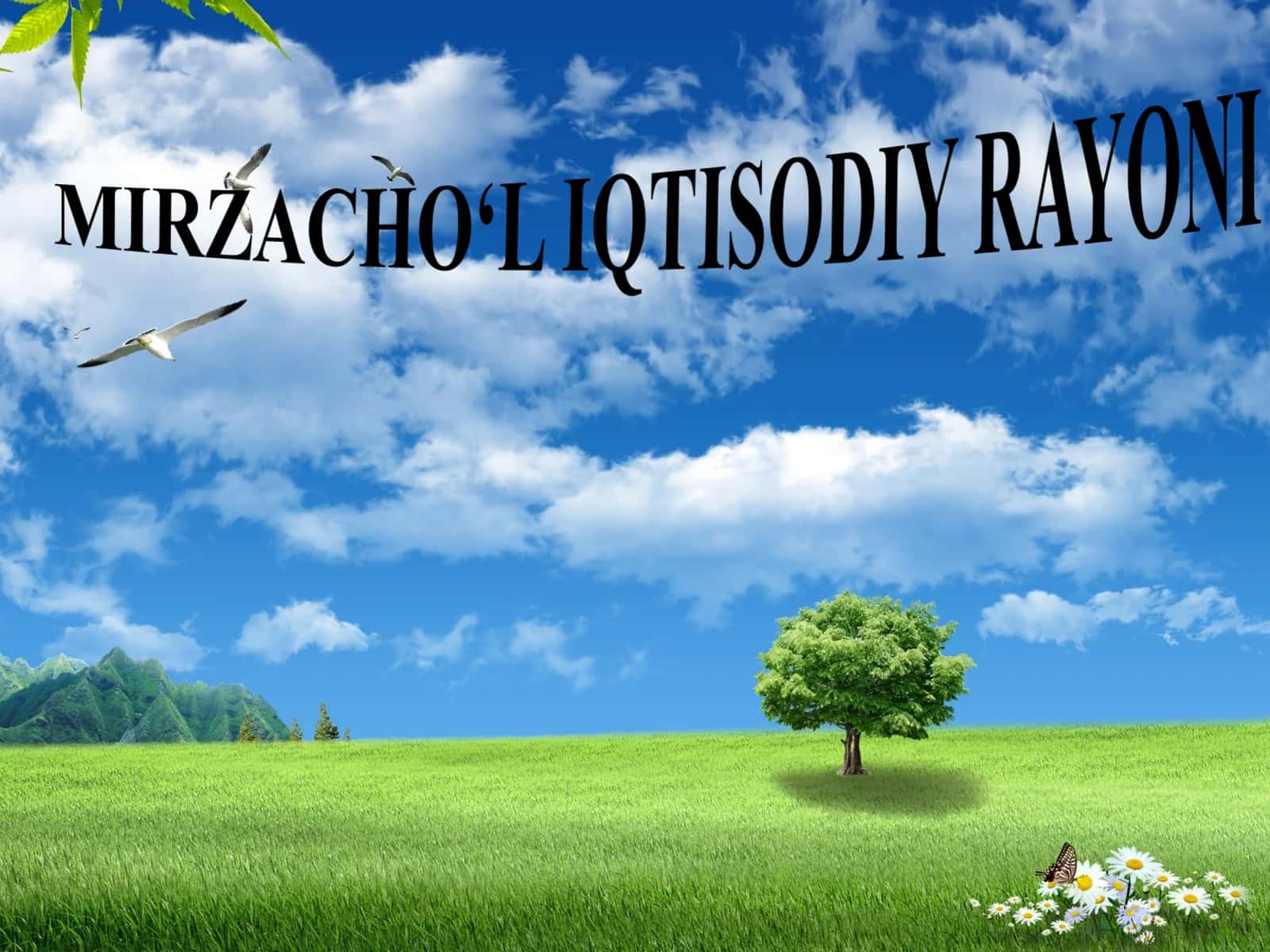 MIRZACHO‘L IQTISODIY RAYONI 1