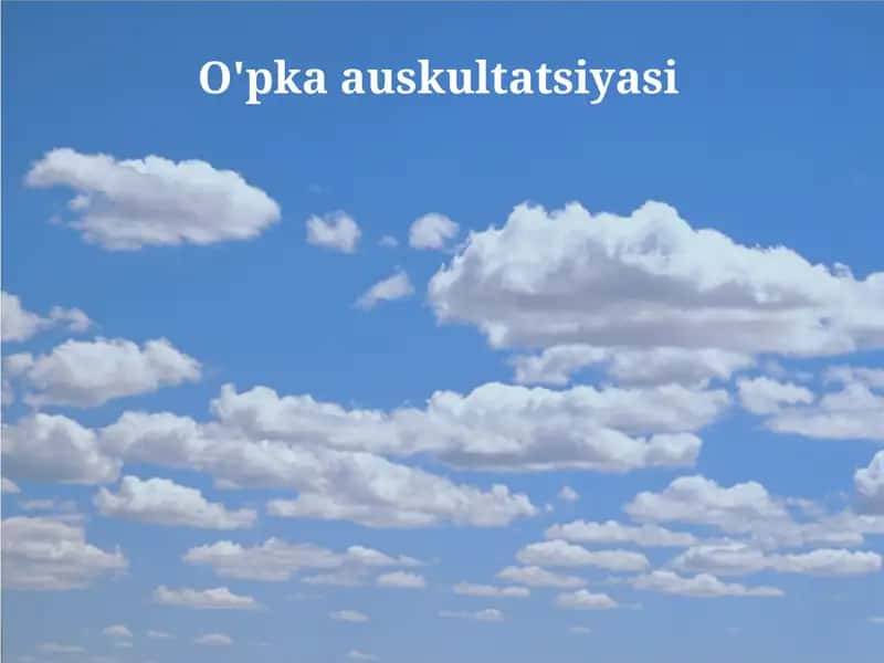 Auskultatsiya 1
