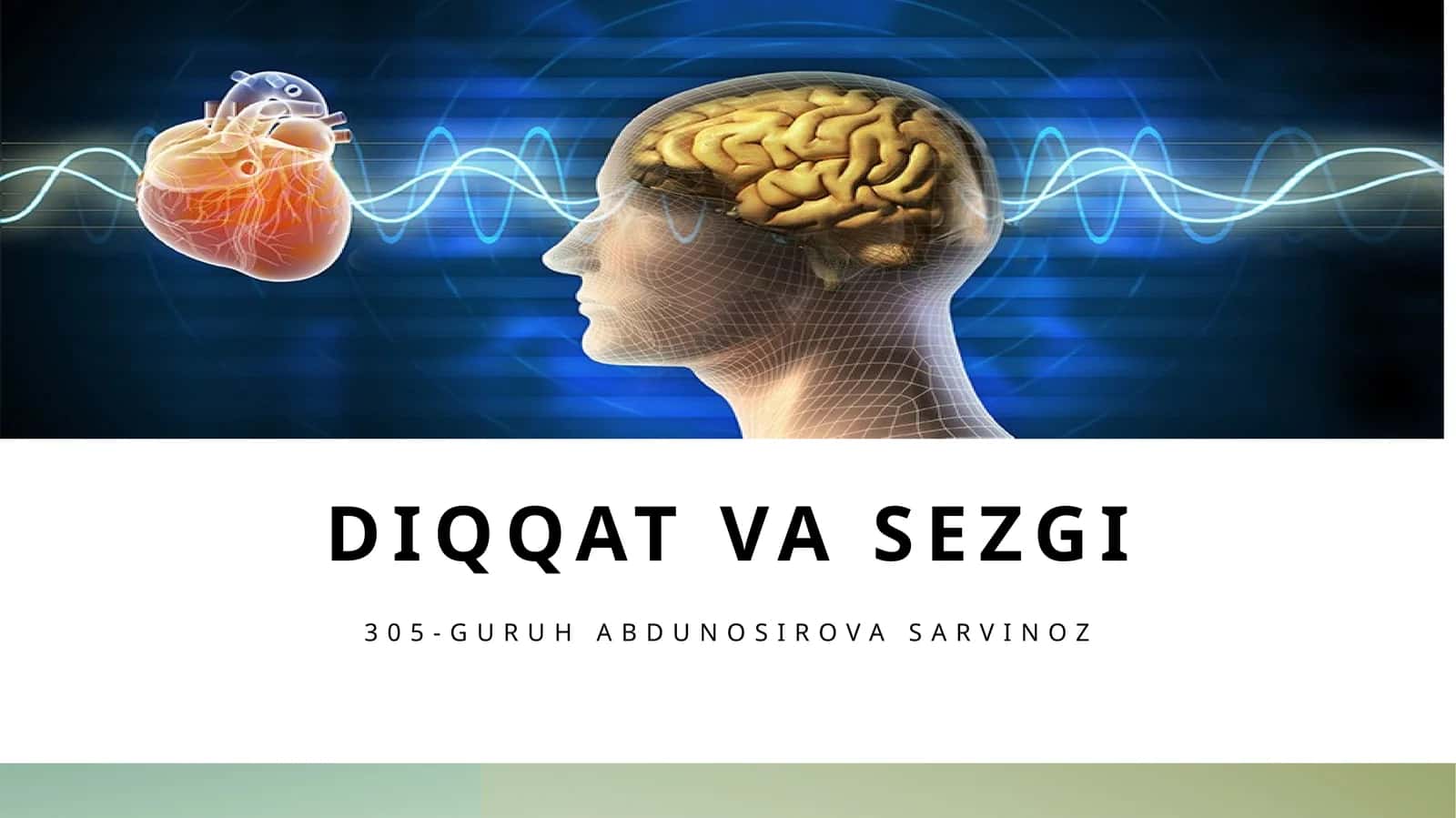 Diqqat va sezgi 1