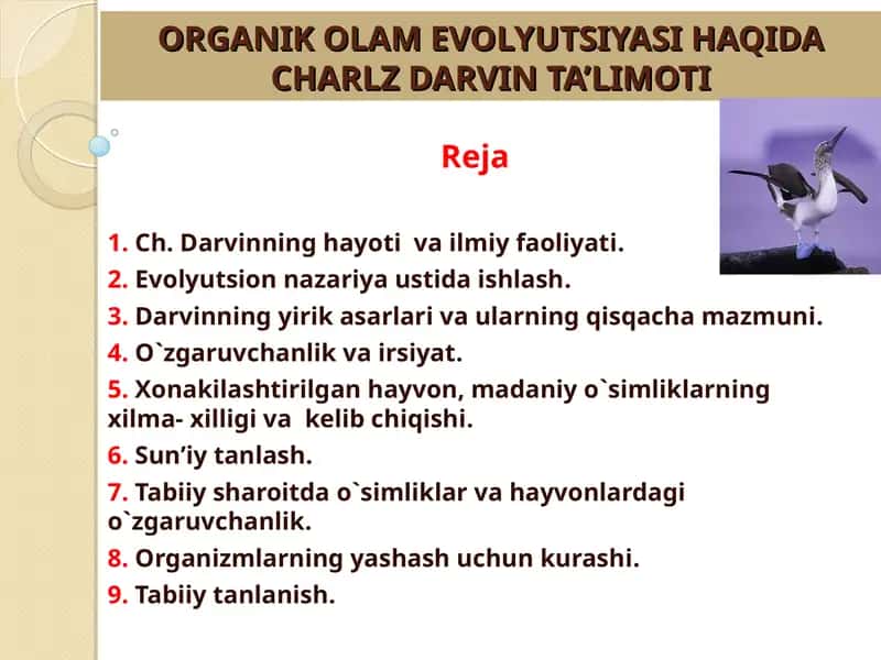 ORGANIK OLAM EVOLYUTSIYASI HAQIDA CHARLZ DARVIN TA’LIMOTI 1