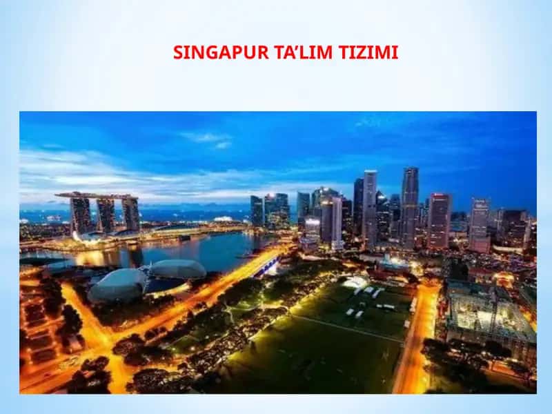 Singapur ta'lim tizimi 1