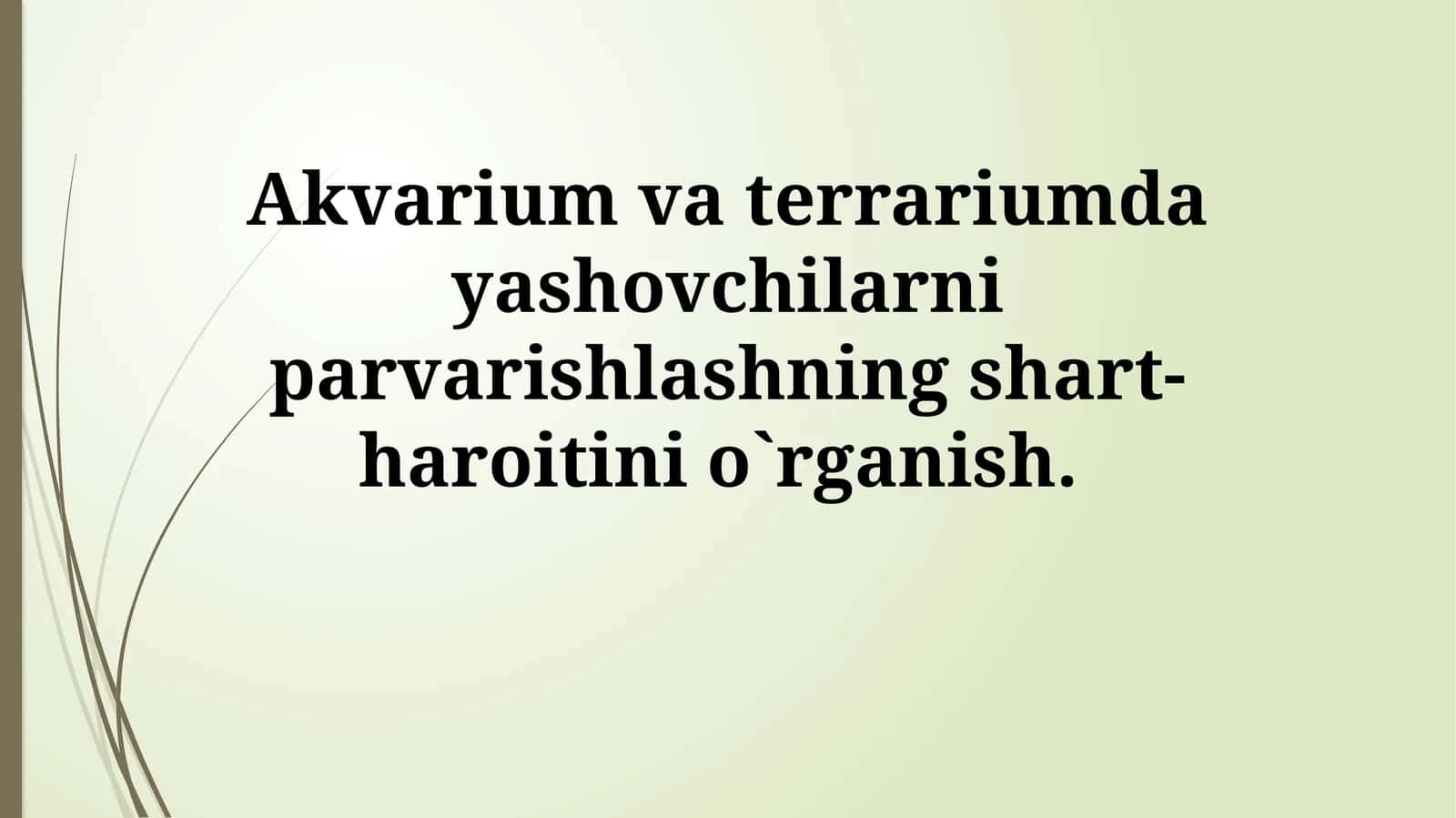 Akvarium va Terrarium Hayvonlarini Parvarish Shartlarini O'rganish 1
