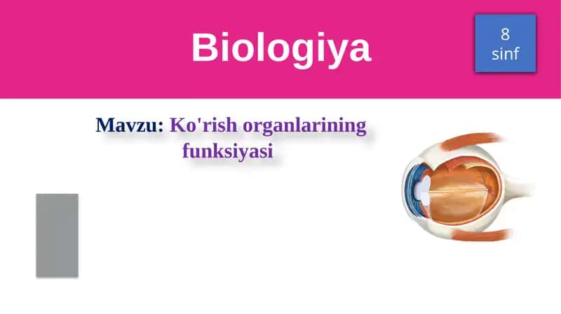 Ko'zning funksiyasi 1