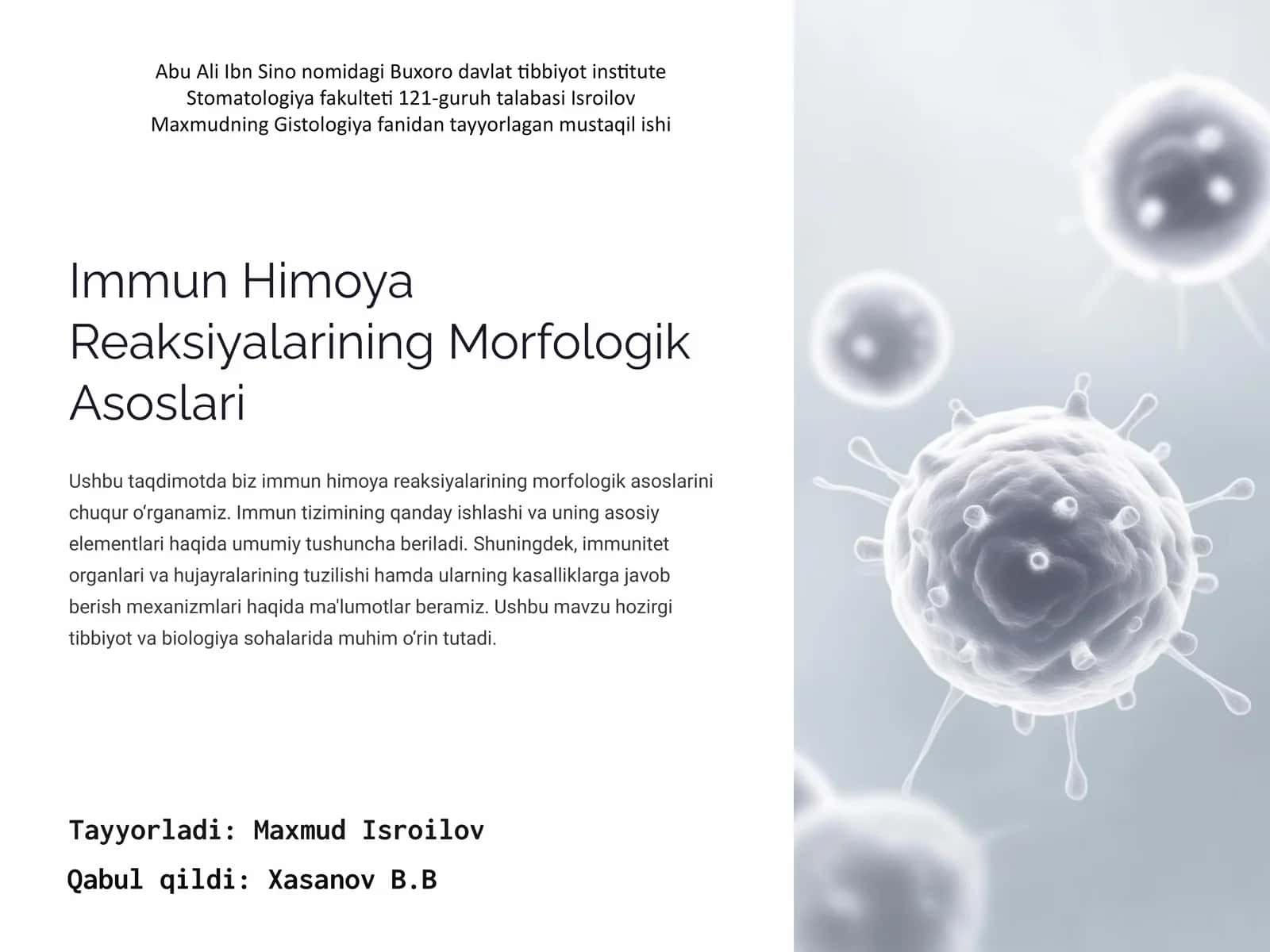 Immun Himoya Reaksiyalarining Morfologik Asoslari 1
