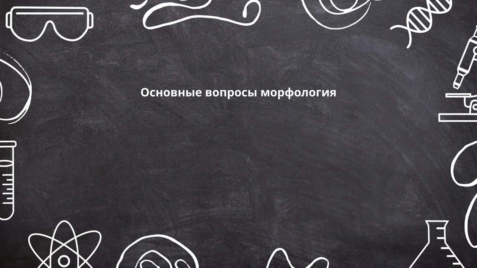 Основные вопросы морфология 1
