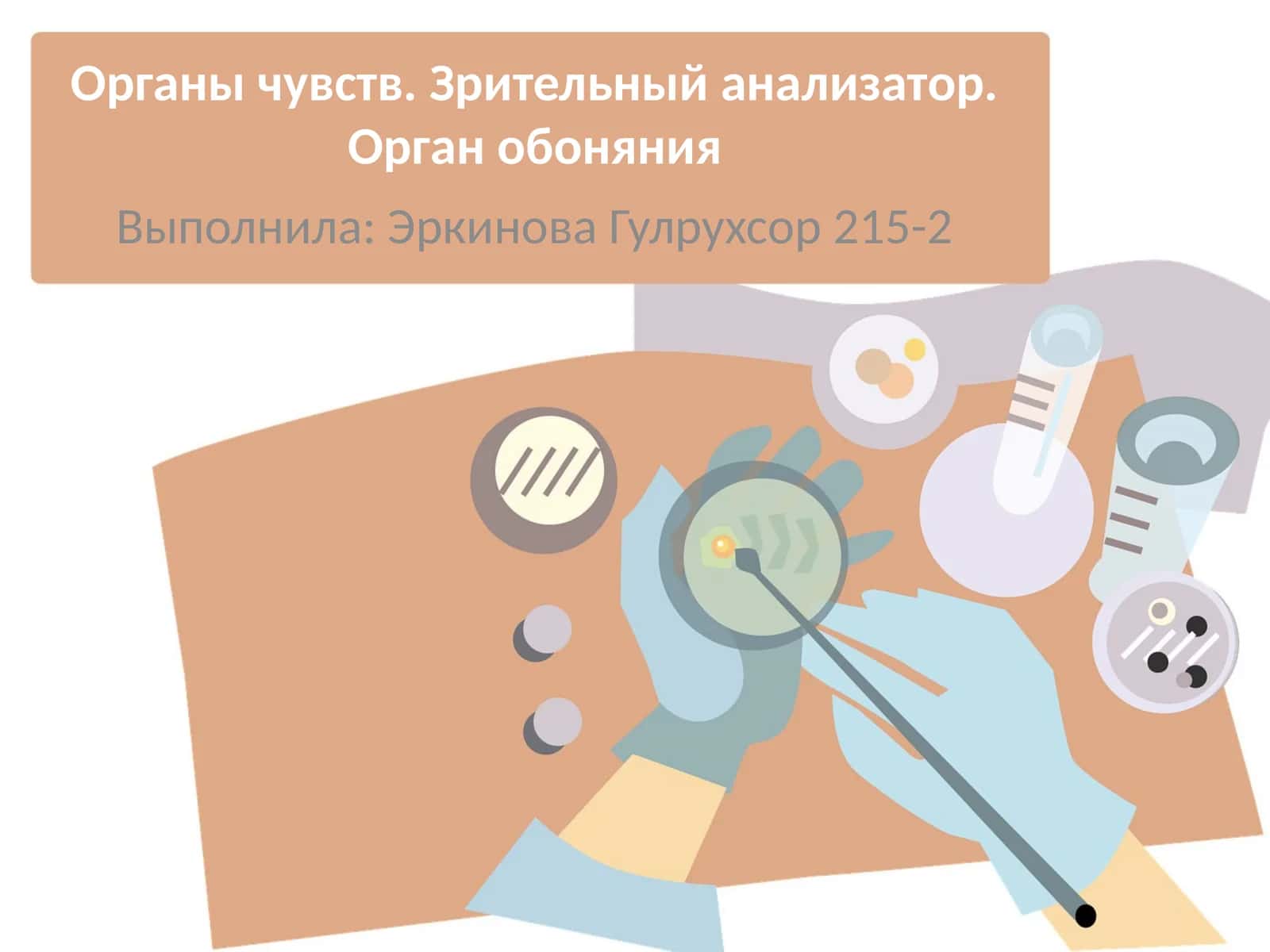 Органы чувств. Зрительный анализатор. Орган обоняния 1