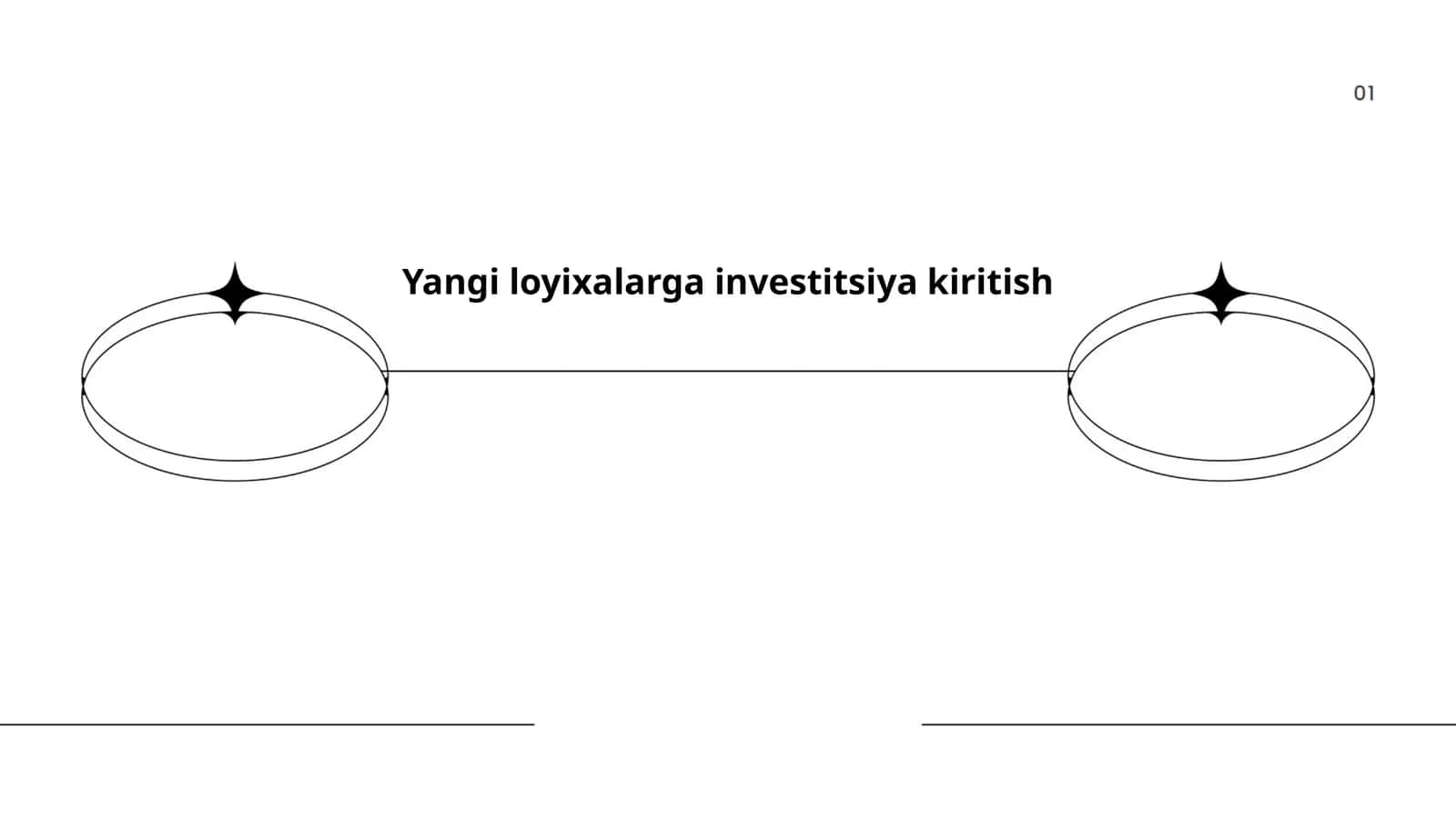 Yangi loyixalarga investitsiya kiritish 1