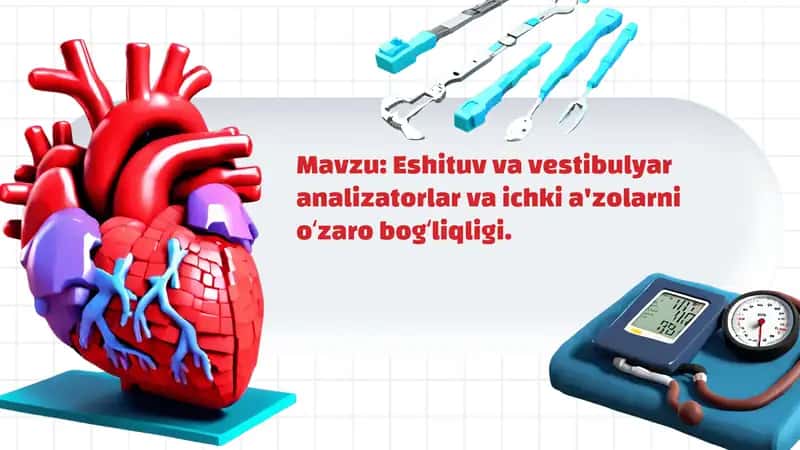 Eshituv va vestibulyar analizatorlar va ichki a'zolarni oʻzaro bogʻliqligi 1