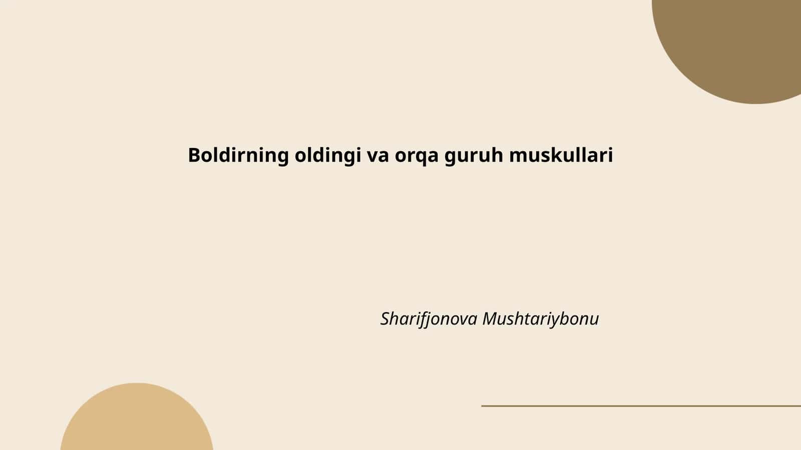Boldirning oldingi va orqa guruh muskullari 1