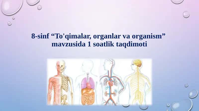 To'qimalar, organlar va organism 1