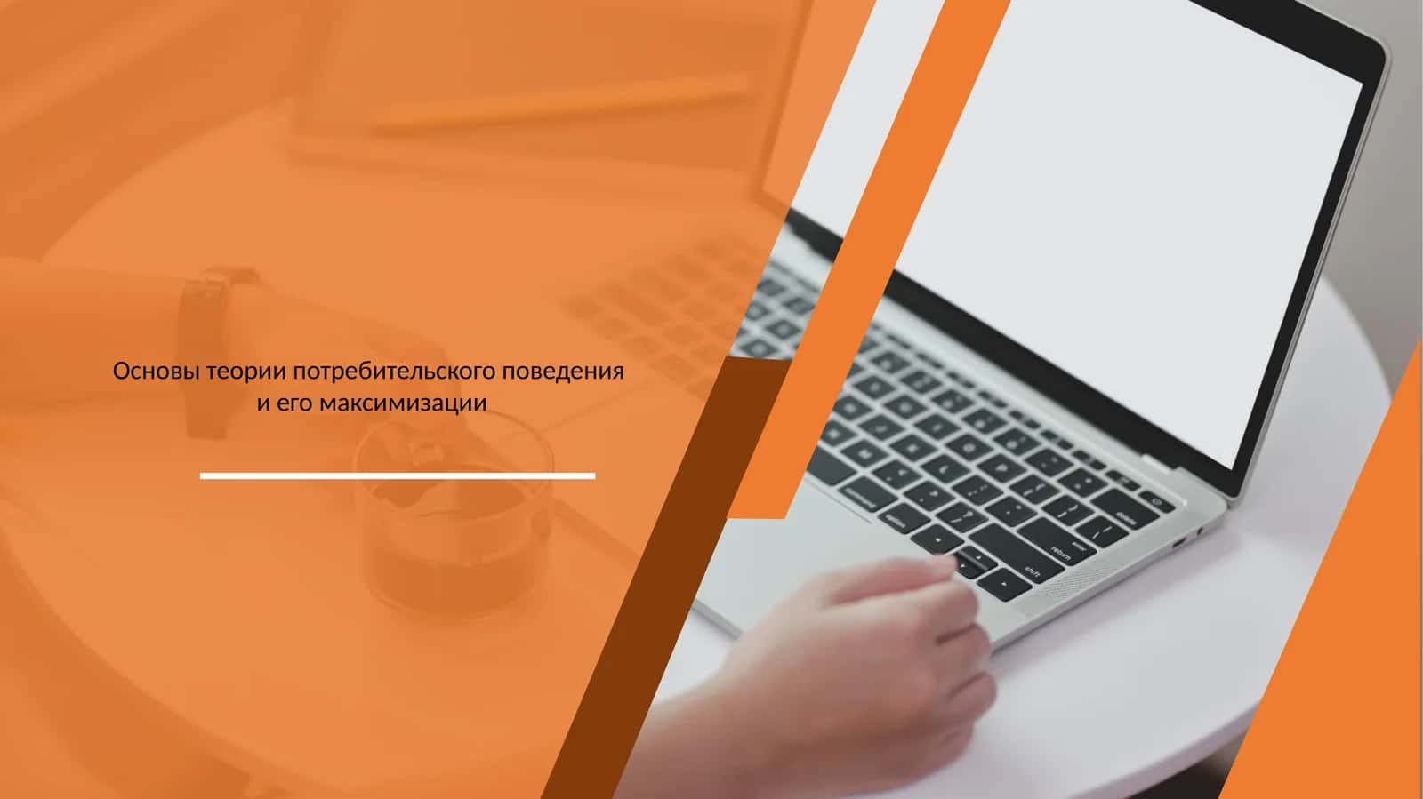 Основы теории потребительского поведения и его максимизации 1