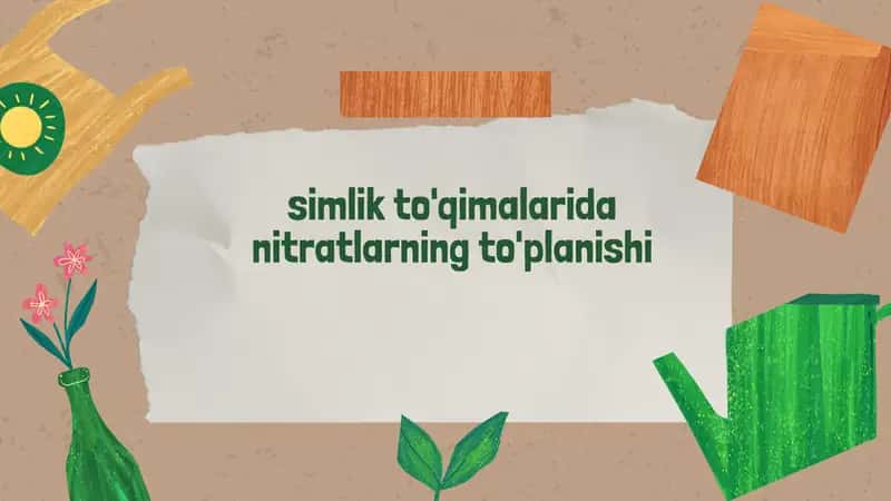 Nitratlarning simlik to'qimalarida roli va ta'siri 1