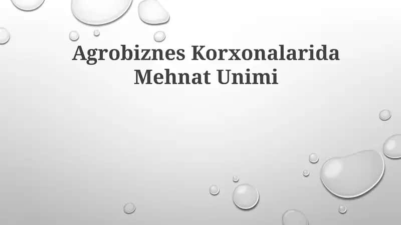 Agrobiznes Korxonalarida Mehnat Unimi 1