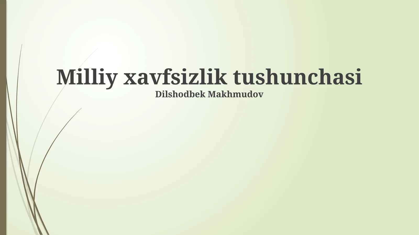 Milliy xavfsizlik tushunchasi 1