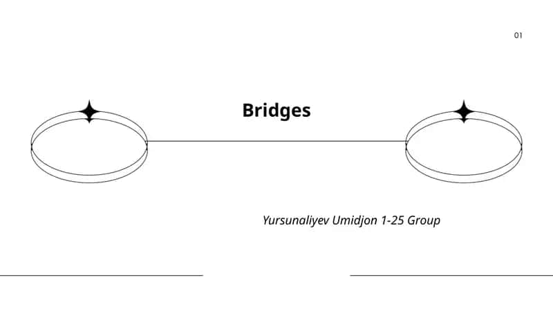 Bridges 1