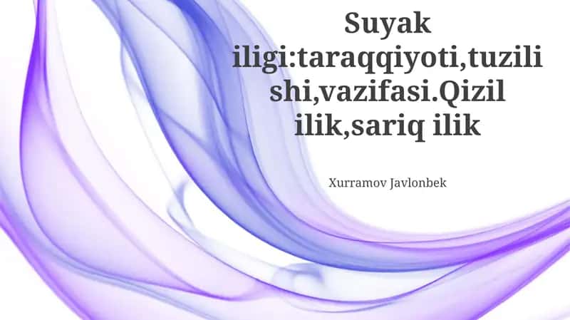 Qizil suyak ko'migining funktsiyalari 1