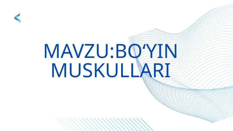 Boʻyin muskullari 1