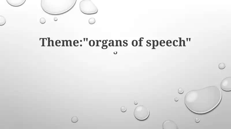 Organs of Speech 1