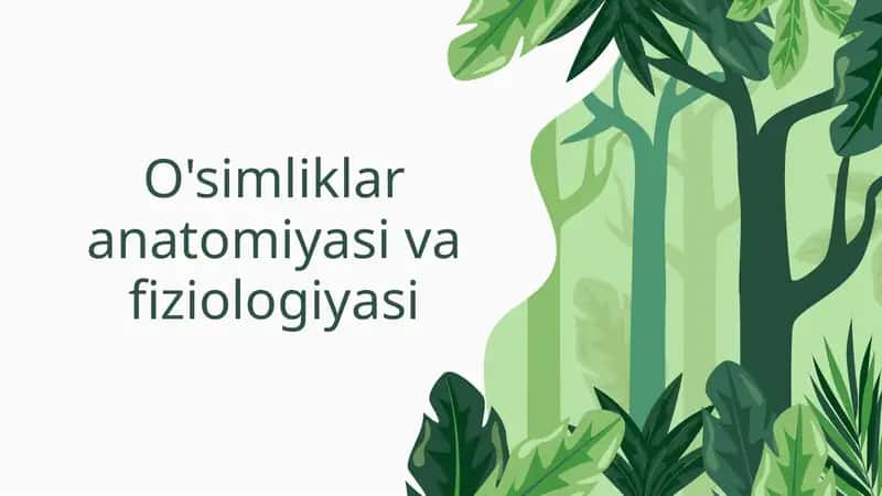 O'simliklar anatomiyasi va fiziologiyasi 1
