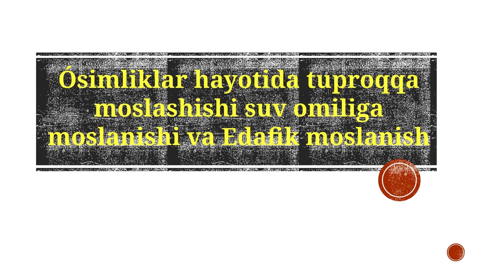 Moslashuvlar 1