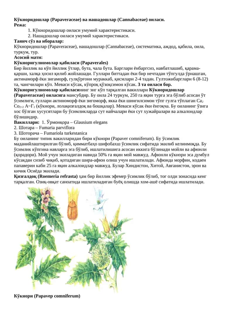 Кўкноридошлар (Papaveraceae) ва нашадошлар (Cannabaceae) оиласи 1