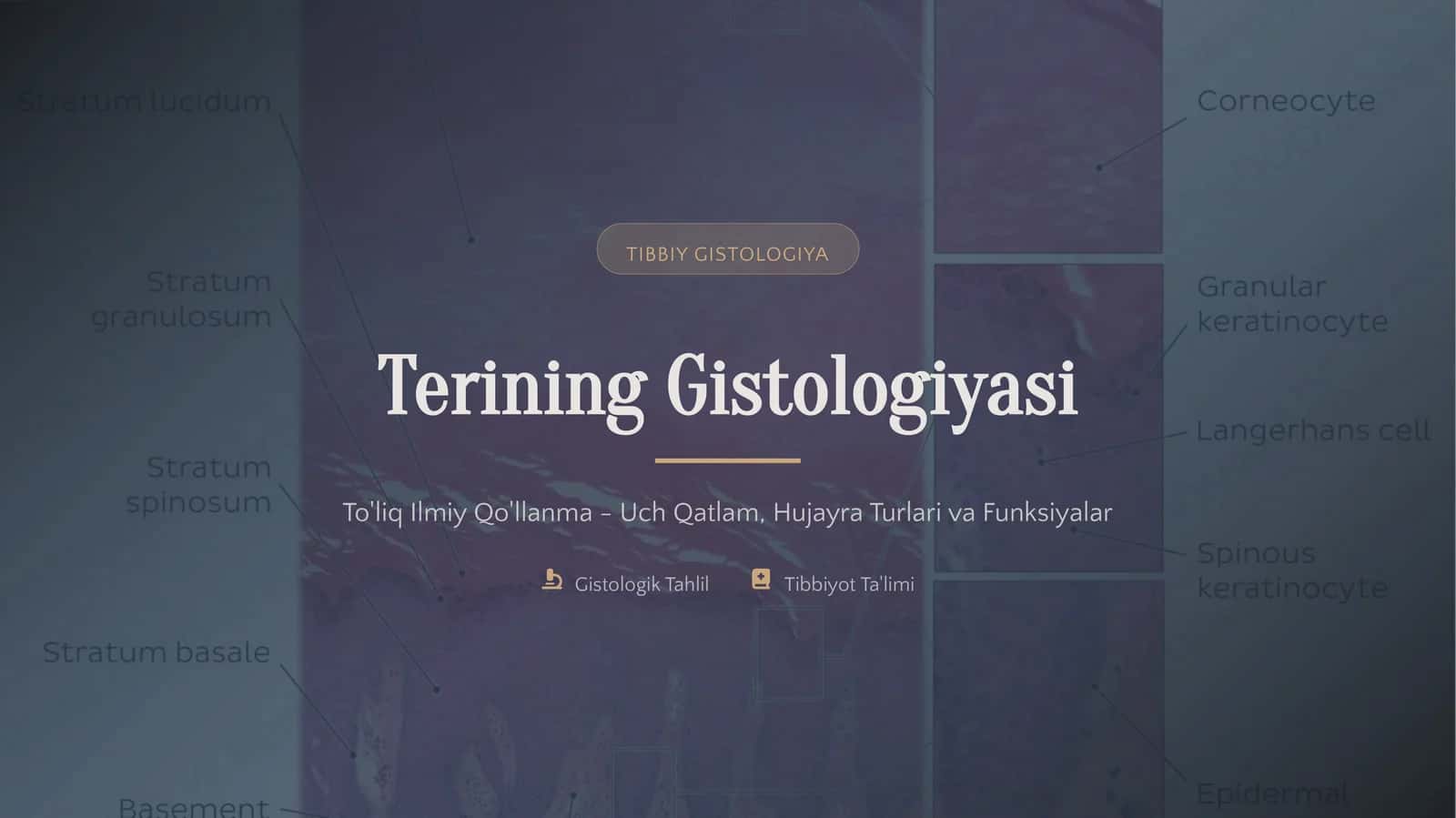 Tibbiy Gistologiya 1
