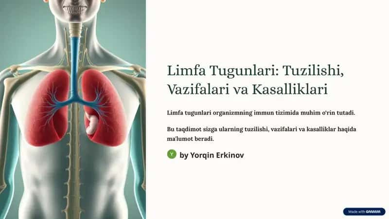 Limfa Tugunlari: Tuzilishi, Vazifalari va Kasalliklari 1