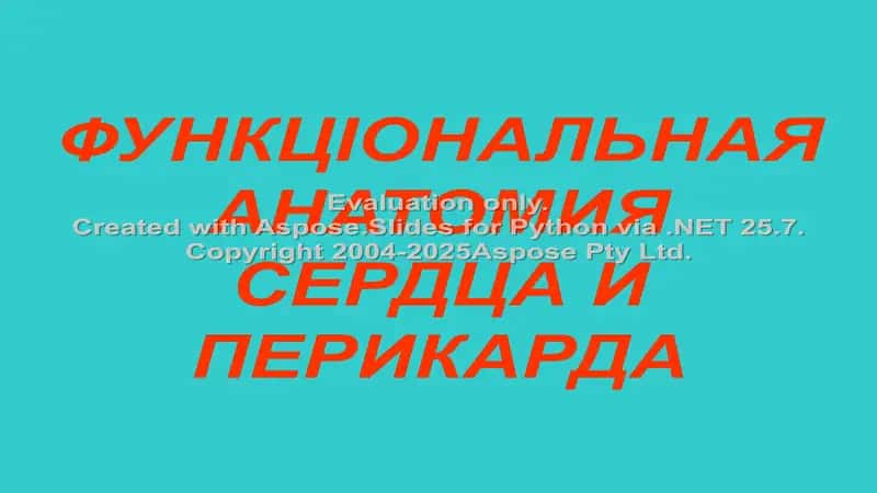 ФУНКЦІОНАЛЬНАЯ АНАТОМИЯ СЕРДЦА И ПЕРИКАРДА 1