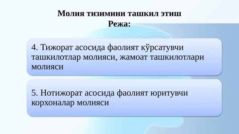 Молия тизимини ташкил этиш 1