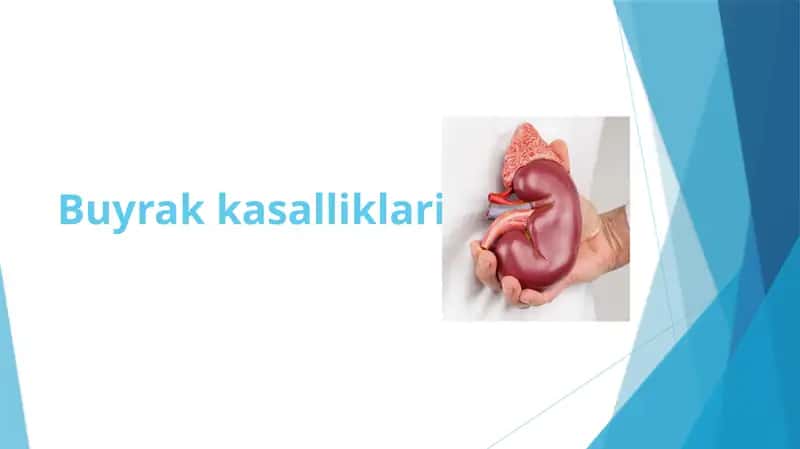 Buyrak kasalliklari