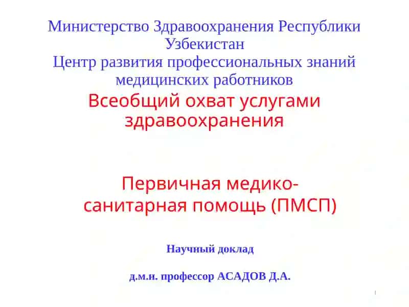 Первичная медико-санитарная помощь (ПМСП)
