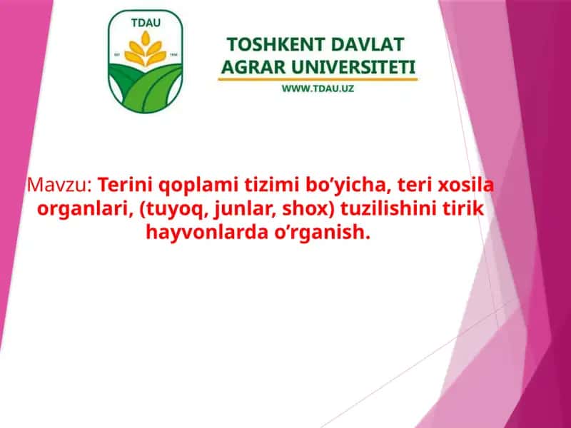 Terixosila organlari tuzilishi 1